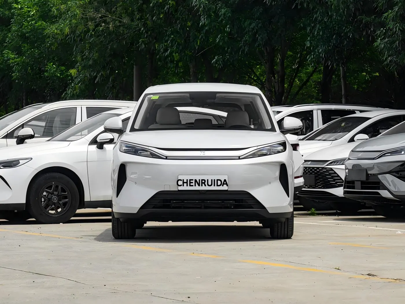 BYD