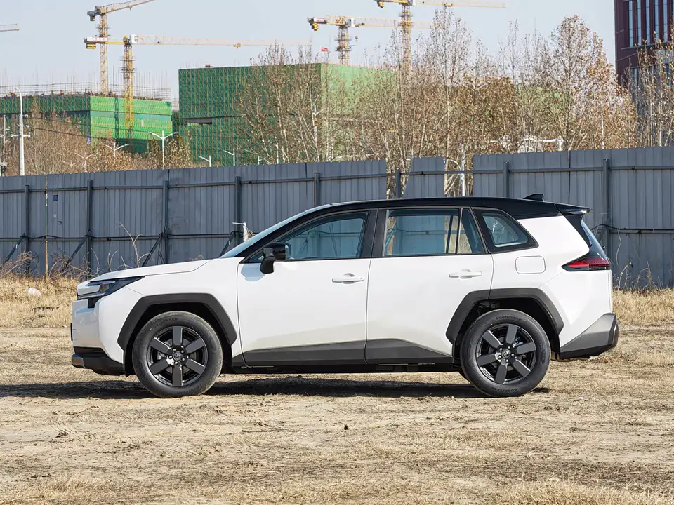 Toyota RAV4 · Toyota 2.0 L 4 W D Luxury — 2