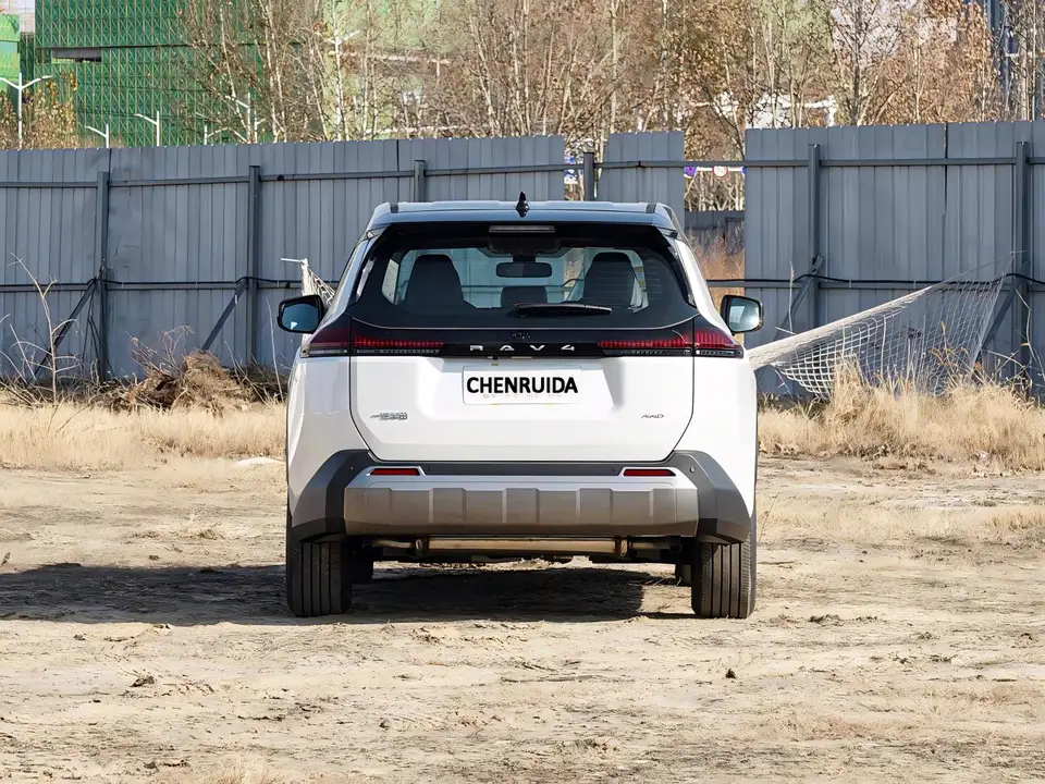 Toyota RAV4 · Toyota 2.0 L 4 W D Luxury — 10
