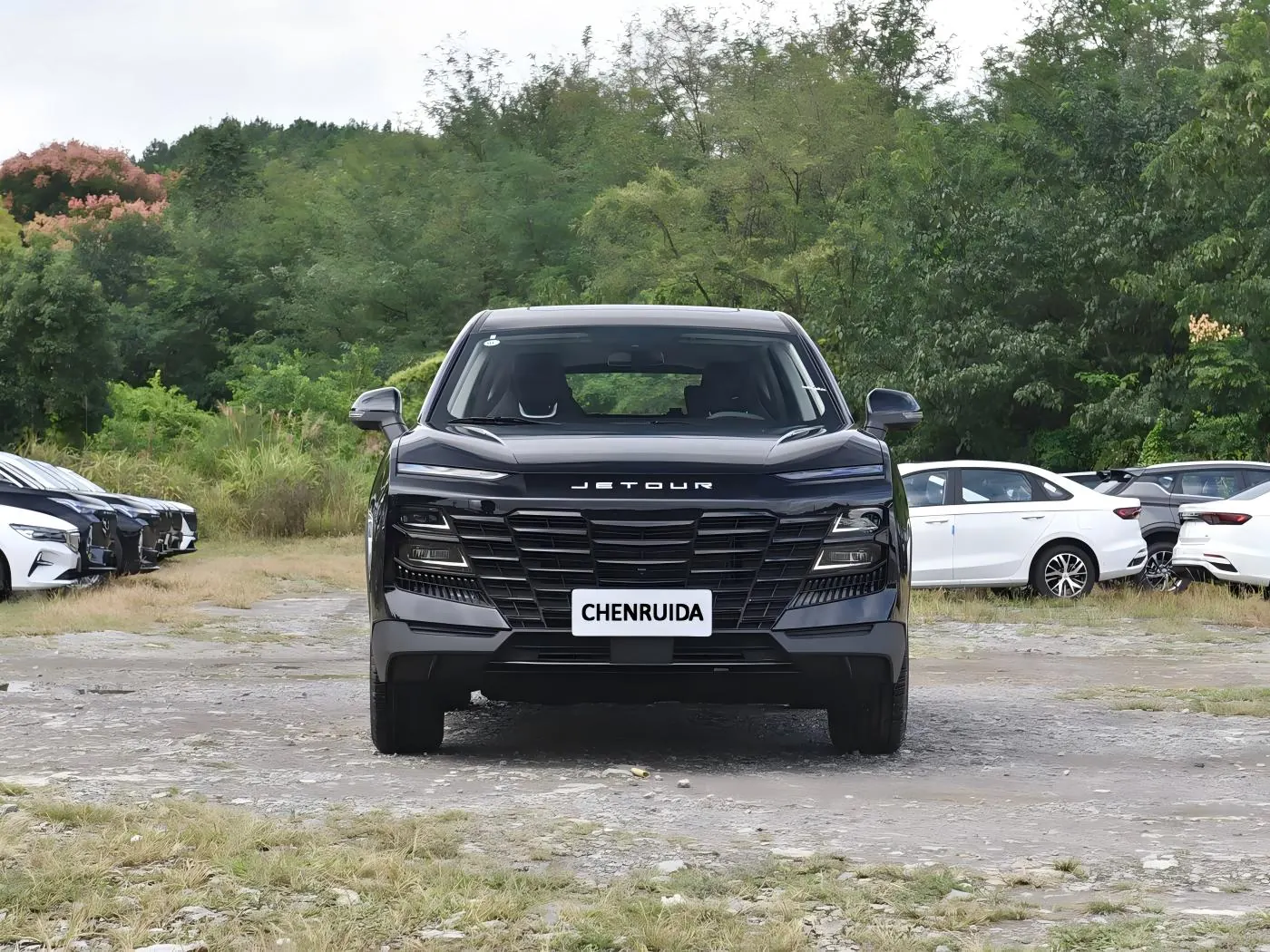 Dasheng · Youth 1.5 T 6 D C T Luxury
