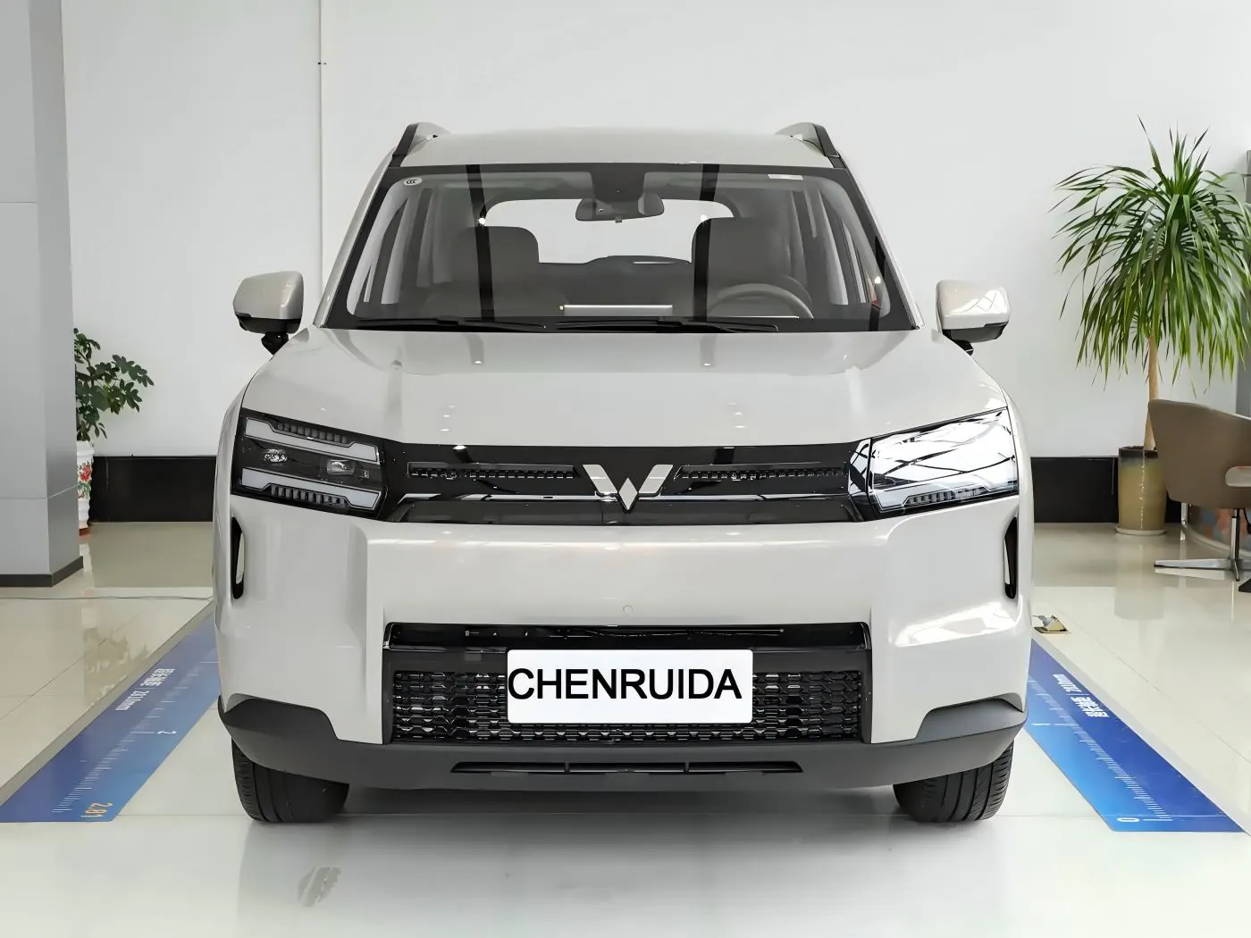 Starlight · 560New Energy E V 500 km Luxury
