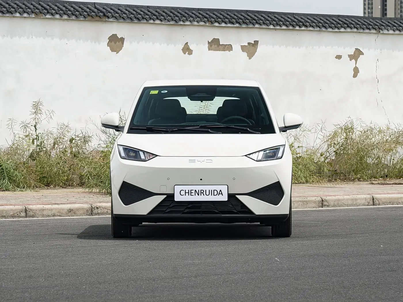 Seagull · BYD 405 km